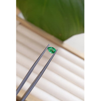 0.33 Ct. Emerald from Zambia Life Style