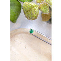 0.84 Ct. Emerald from Zambia Life Style