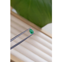 0.27 Ct. Emerald from Zambia Life Style