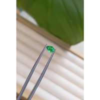 0.33 Ct. Emerald from Zambia Life Style