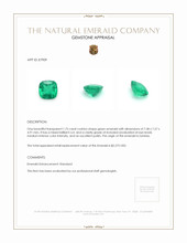 1.75 Ct. Emerald from Zambia Appraisal