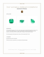 1.75 Ct. Emerald from Zambia Appraisal