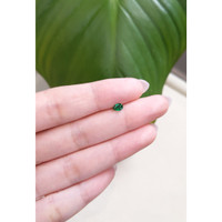 0.31 Ct. Emerald from Zambia Life Style