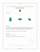 0.40 Ct. Emerald from Zambia Appraisal