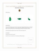 0.44 Ct. Emerald from Zambia Appraisal