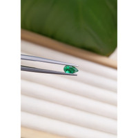 0.44 Ct. Emerald from Zambia Life Style