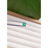 0.53 Ct. Emerald from Zambia Life Style