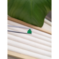 0.95 Ct. Emerald from Zambia Life Style
