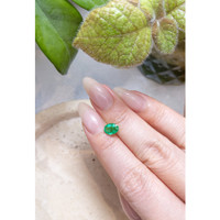 1.07 Ct. Emerald from Zambia Life Style