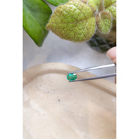 1.07 Ct. Emerald from Zambia Life Style