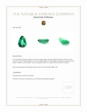 0.89 Ct. Emerald from Zambia Appraisal