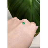 0.35 Ct. Emerald from Colombia Life Style