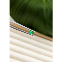 0.35 Ct. Emerald from Colombia Life Style