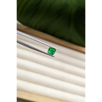 0.60 Ct. Emerald from Afghanistan Life Style