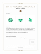 0.69 Ct. Emerald from Colombia Appraisal