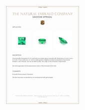 0.23 Ct. Emerald from Afghanistan Appraisal