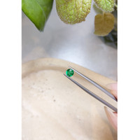 0.53 Ct. Emerald from Afghanistan Life Style