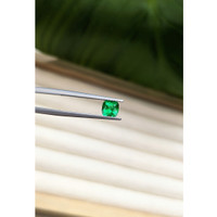 0.62 Ct. Emerald from Afghanistan Life Style