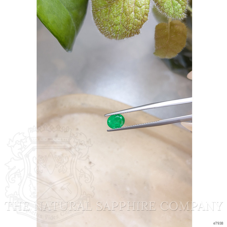 1.02 Ct. Emerald from Afghanistan