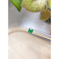 1.13 Ct. Emerald from Colombia Life Style