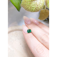 0.79 Ct. Emerald from Zambia Life Style