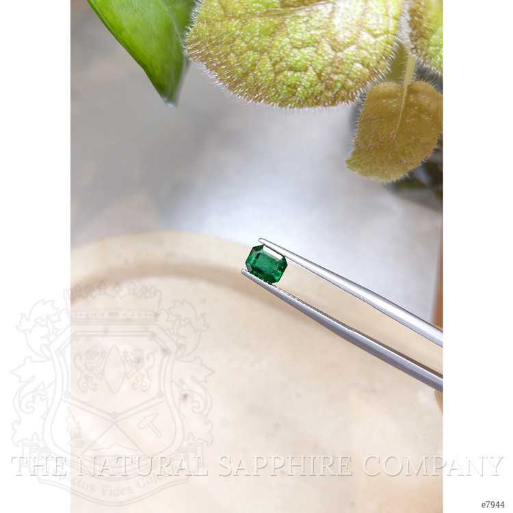 0.79 Ct. Emerald from Zambia