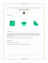 2.53 Ct. Emerald from Colombia Appraisal