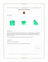 4.98 Ct. Emerald from Colombia Appraisal