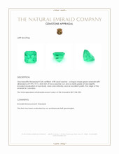 4.98 Ct. Emerald from Colombia Appraisal