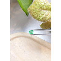 0.86 Ct. Emerald from Zambia Life Style