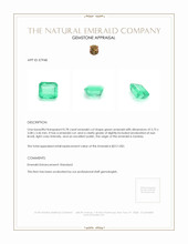 0.78 Ct. Emerald from Zambia Appraisal