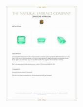 0.78 Ct. Emerald from Zambia Appraisal
