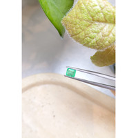 0.78 Ct. Emerald from Zambia Life Style