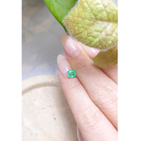 0.78 Ct. Emerald from Zambia Life Style