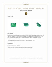 0.85 Ct. Emerald from Zambia Appraisal