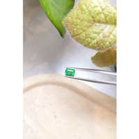 0.85 Ct. Emerald from Zambia Life Style