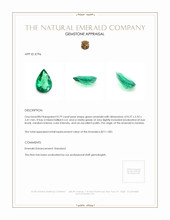 0.79 Ct. Emerald from Zambia Appraisal