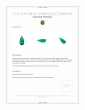3.36 Ct. Emerald from Colombia Appraisal