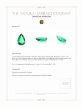 0.89 Ct. Emerald from Zambia Appraisal
