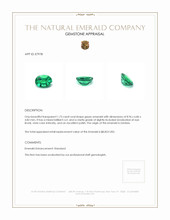 1.73 Ct. Emerald from Zambia Appraisal