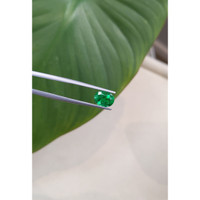 1.73 Ct. Emerald from Zambia Life Style