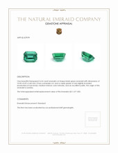 4.54 Ct. Emerald from Zambia Appraisal