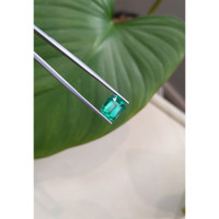 4.54 Ct. Emerald from Zambia Life Style
