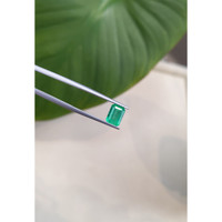 1.34 Ct. Emerald from Brazil Life Style