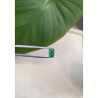 0.90 Ct. Emerald from Brazil Life Style