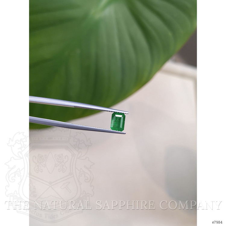 0.96 Ct. Emerald from Brazil