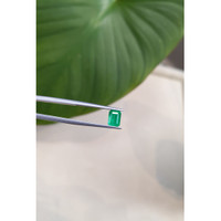 0.95 Ct. Emerald from Brazil Life Style