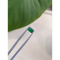 0.76 Ct. Emerald from Brazil Life Style