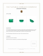 0.96 Ct. Emerald from Brazil Appraisal