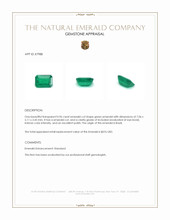 0.96 Ct. Emerald from Brazil Appraisal